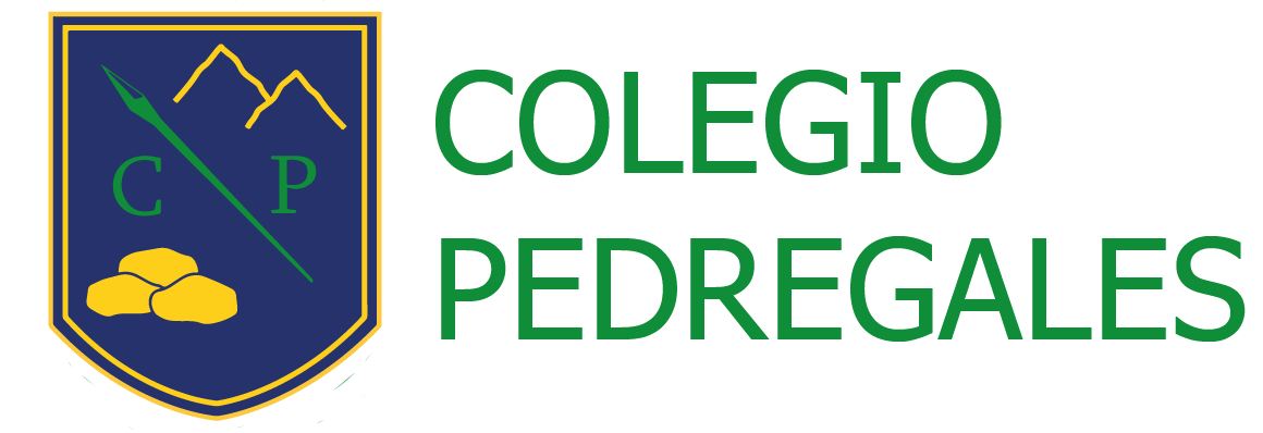 Colegio Pedregales