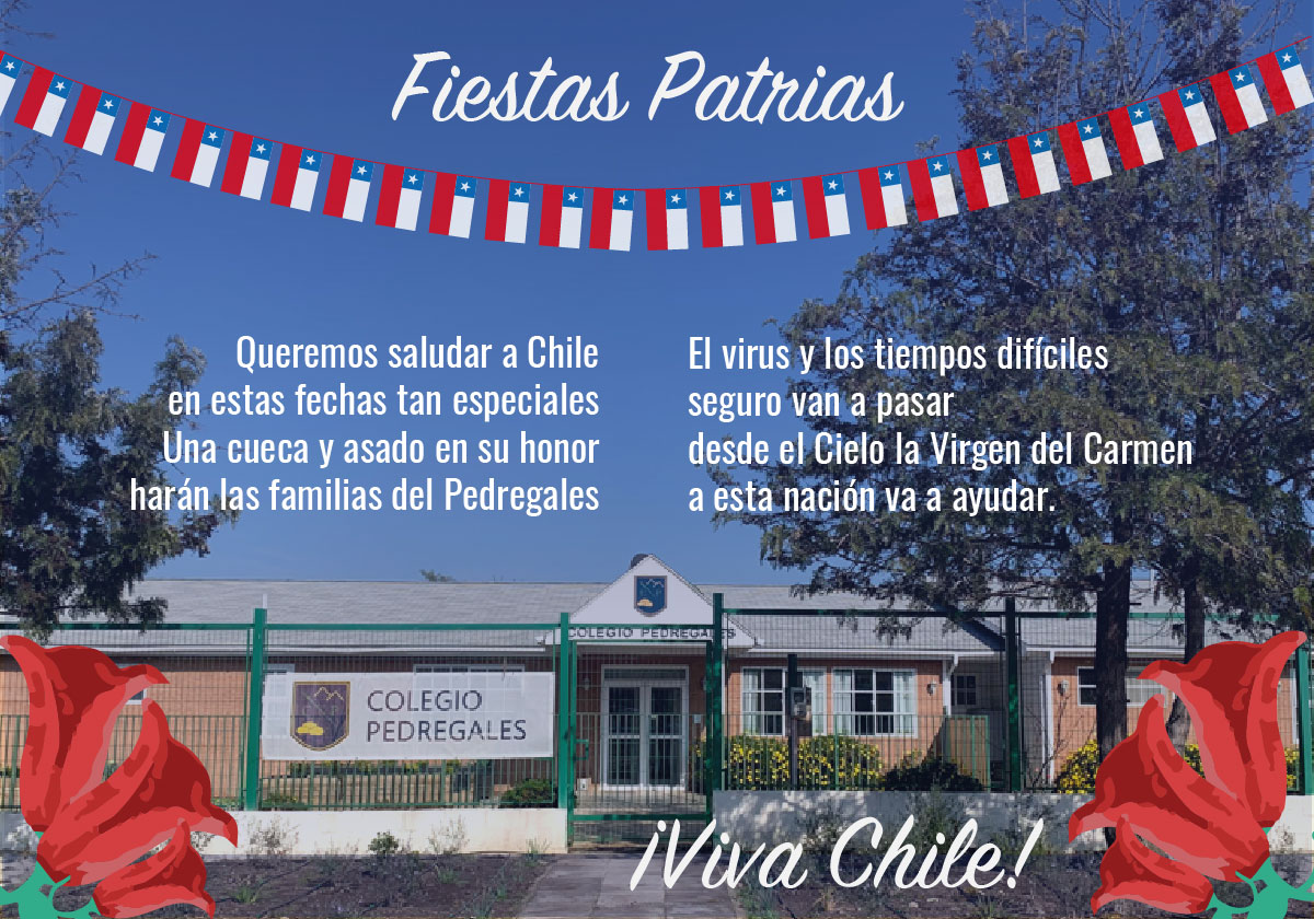 Read more about the article ¡VIVA CHILE!