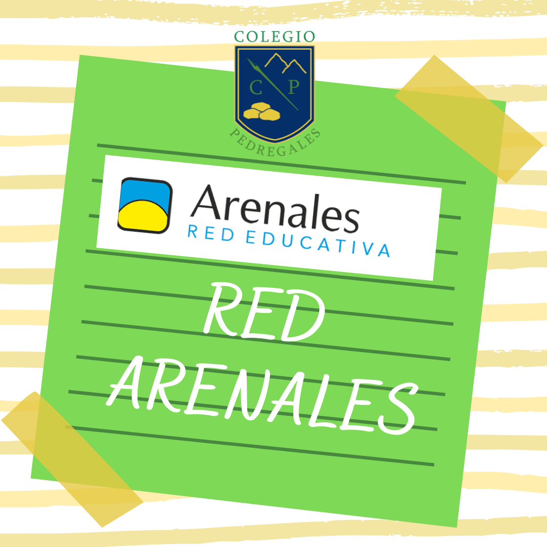 Ishihara Satomi pussy fake COLEGIO PEDREGALES CIERRA CONVENIO CON ARENALES RED EDUCATIVA DE ESPAÑA -  Colegio Pedregales
