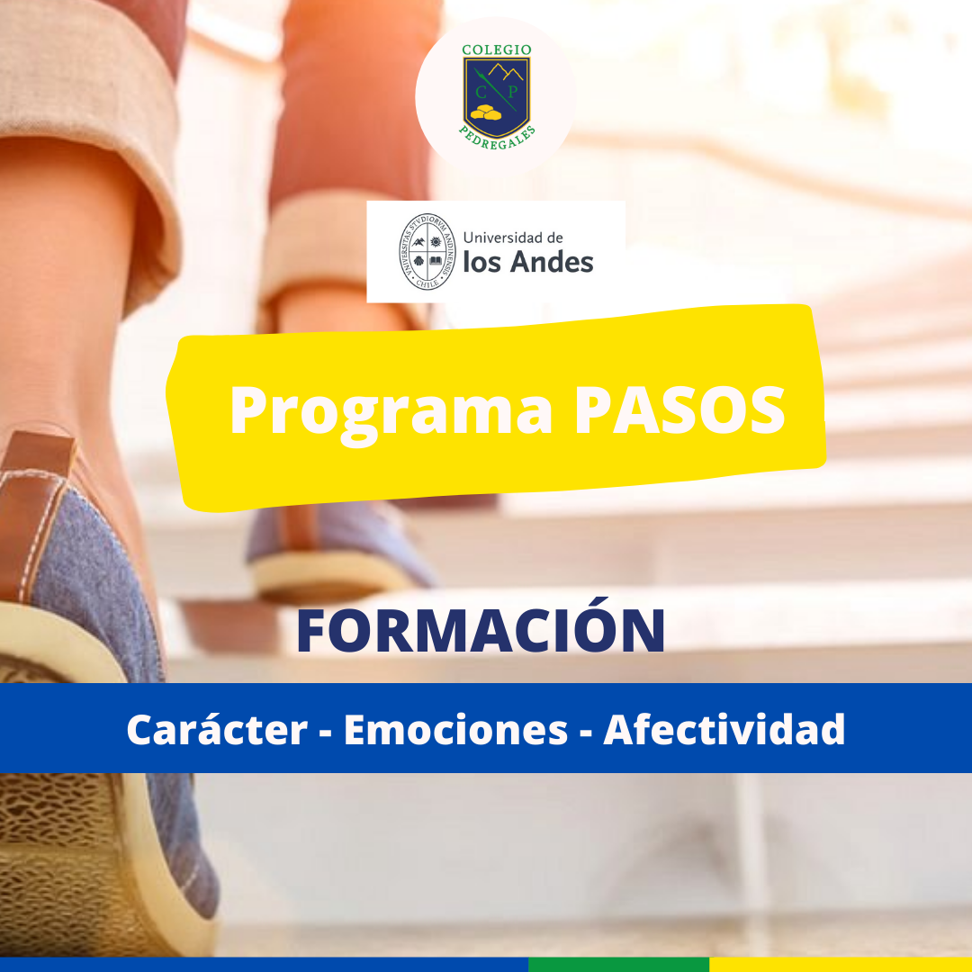 Read more about the article CIERRE DE SEMESTRE PROGRAMA PASOS-Uandes