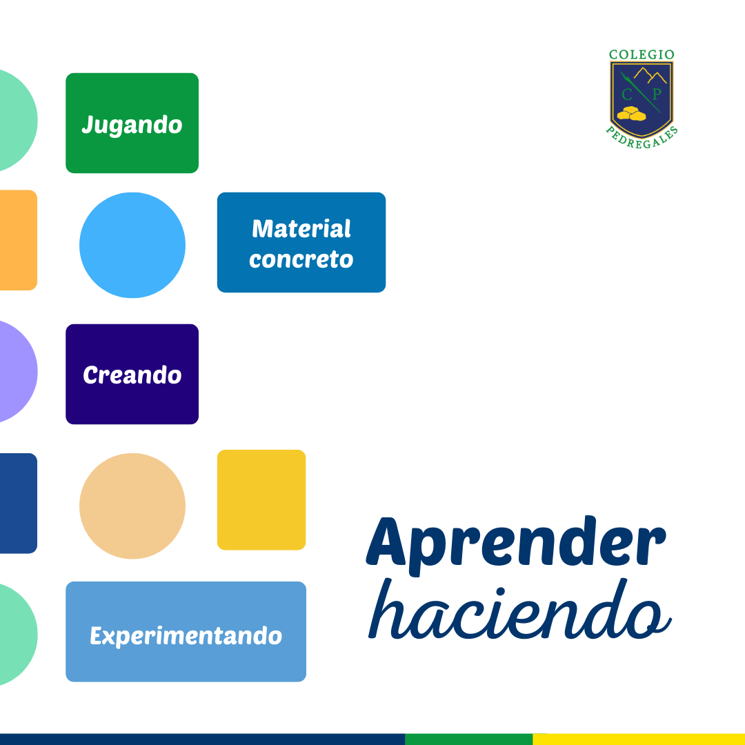 Read more about the article APRENDER HACIENDO