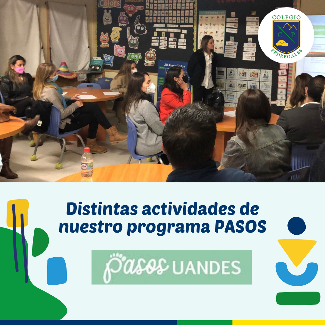 PROGRAMA PASOS