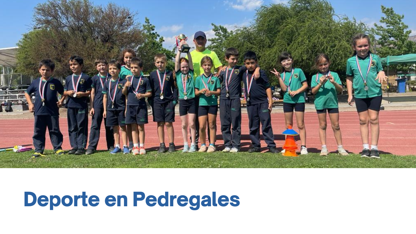 Sitio Web Pedregales (3)