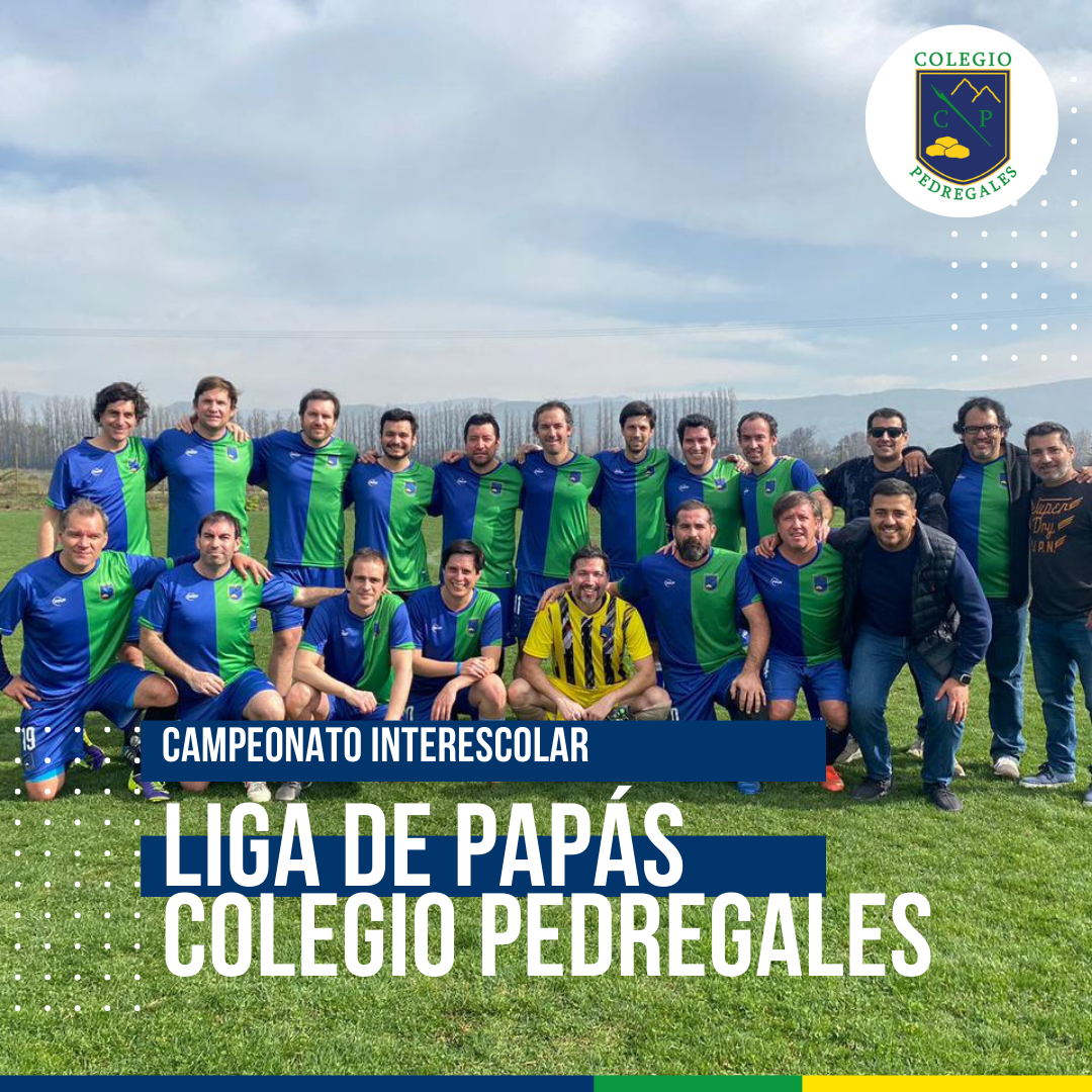 Read more about the article LIGA DE PAPÁS COLEGIO PEDREGALES