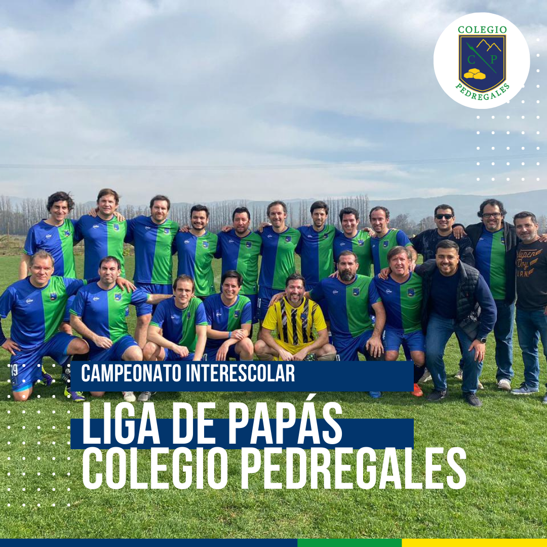 You are currently viewing LIGA DE PAPÁS COLEGIO PEDREGALES