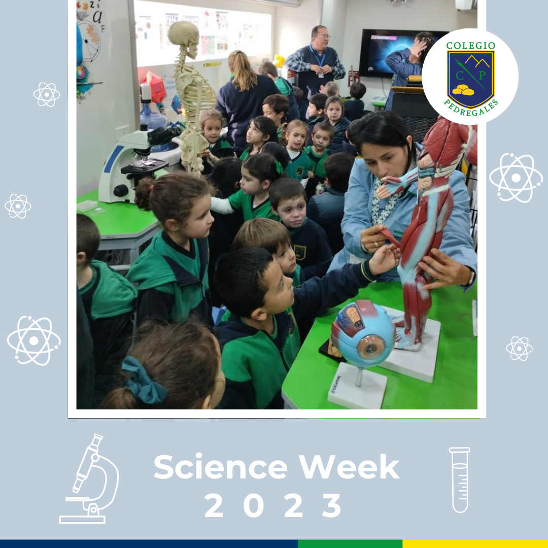 Read more about the article SCIENCE WEEK