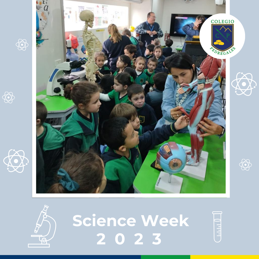 You are currently viewing SCIENCE WEEK